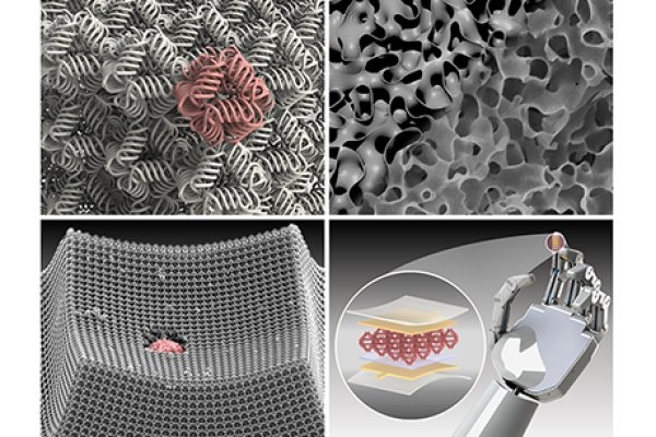 Mapping the future of metamaterials