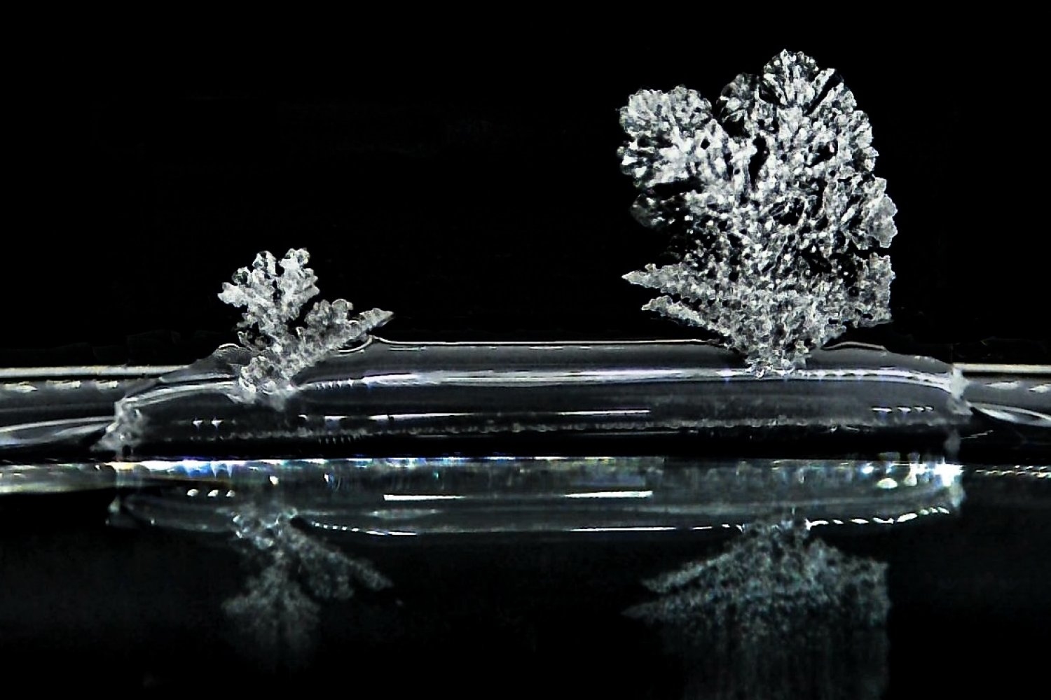 Creeping crystals: Scientists observe “salt creep” at the single-crystal scale