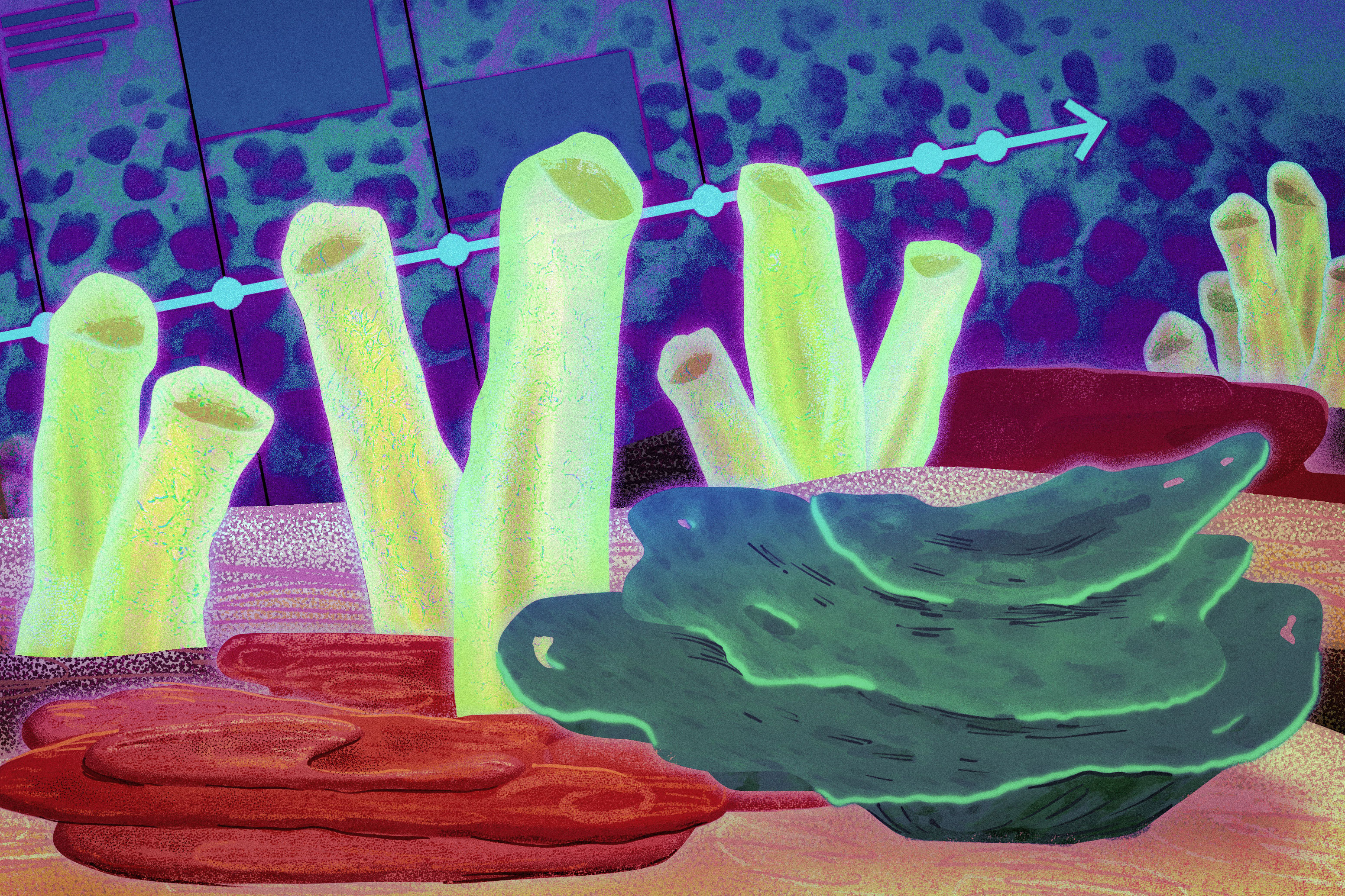 The first animals on Earth may have been sea sponges, study suggests