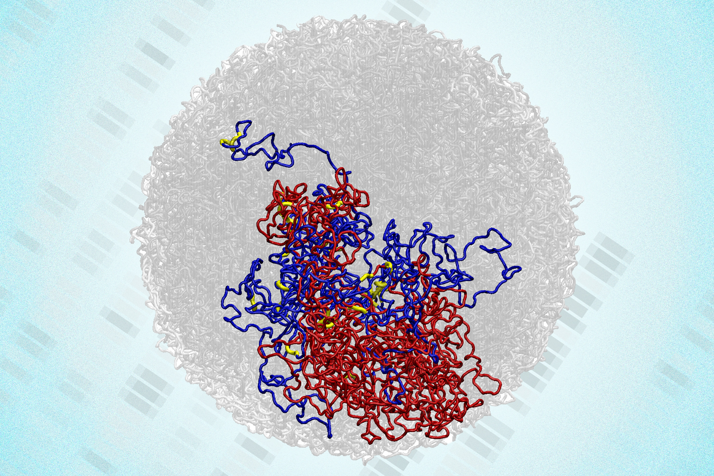 In a surprising discovery, scientists find tiny loops in the genomes of dividing cells