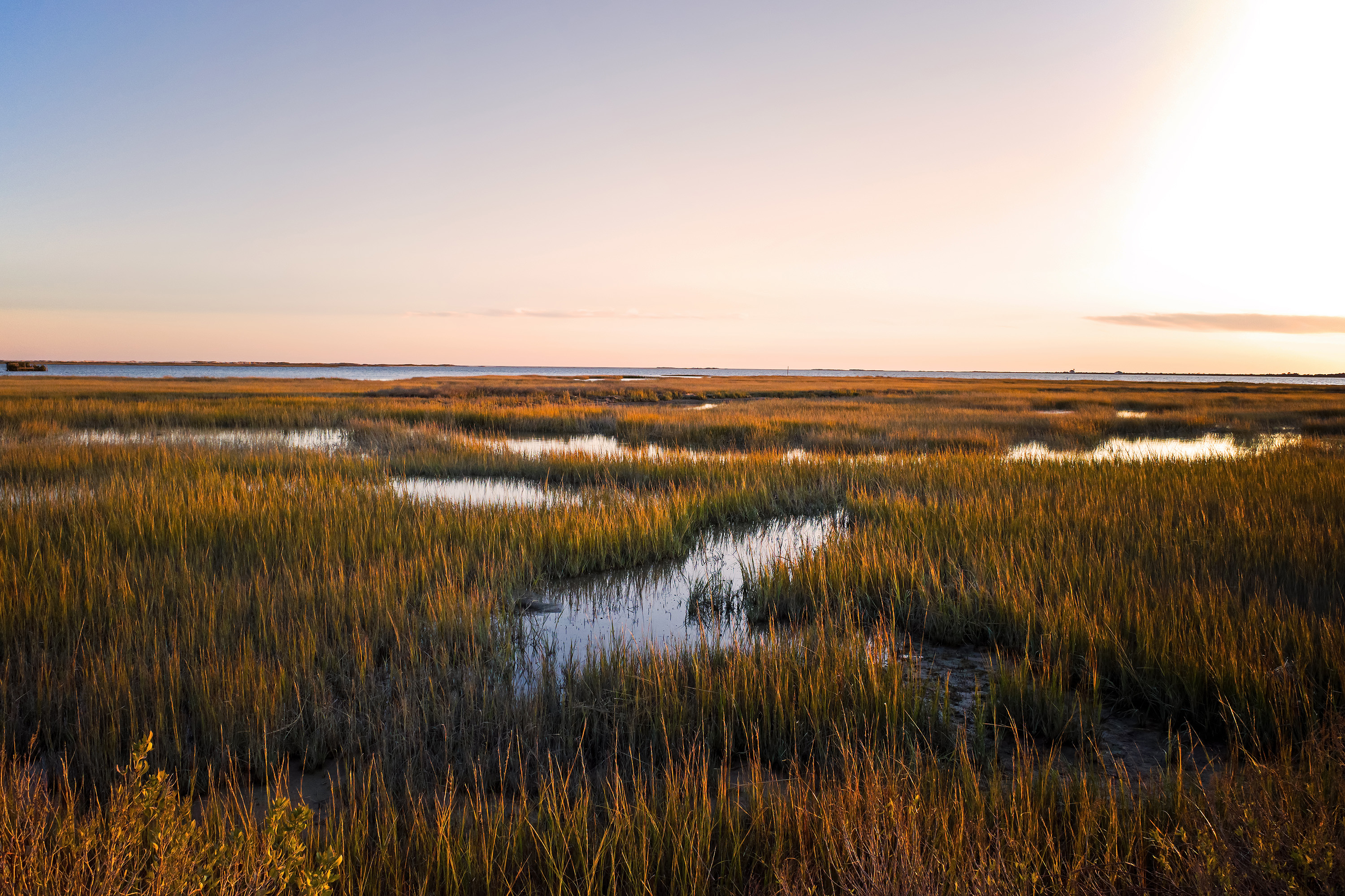 A plan to preserve wetlands without stopping development