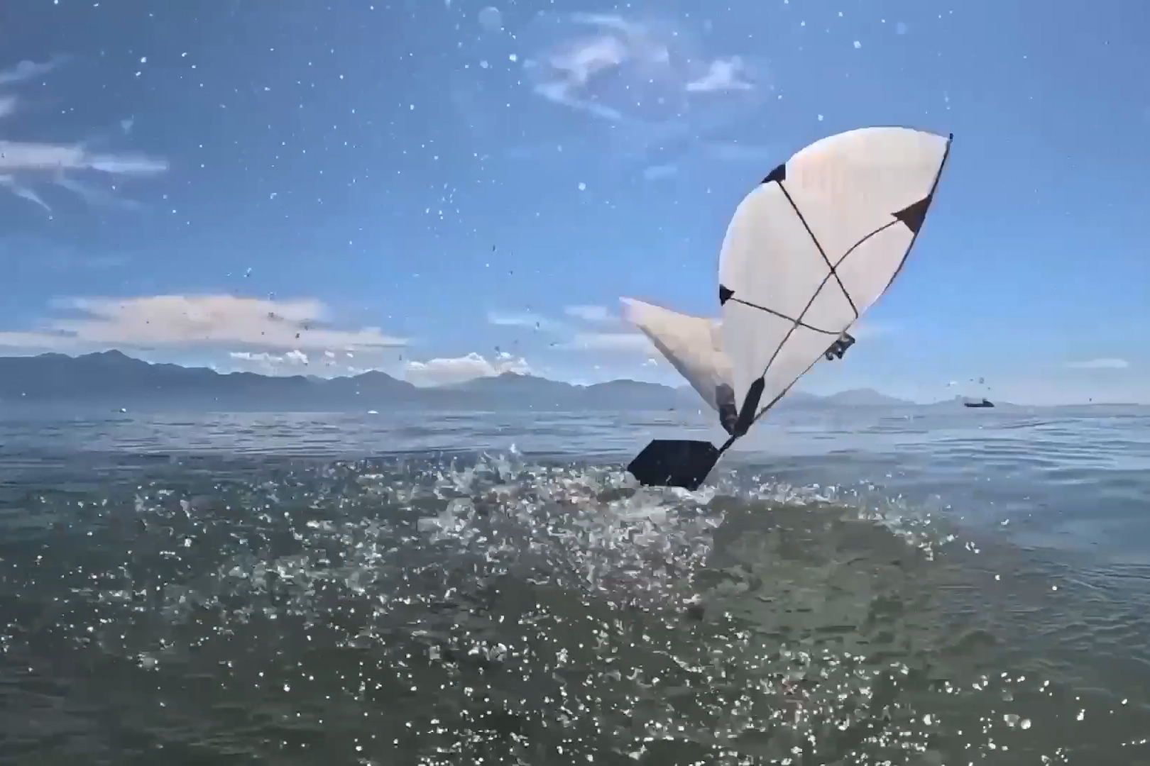 MIT ROBOT SWIMS AND FLIES LIKE A DIVING BIRD