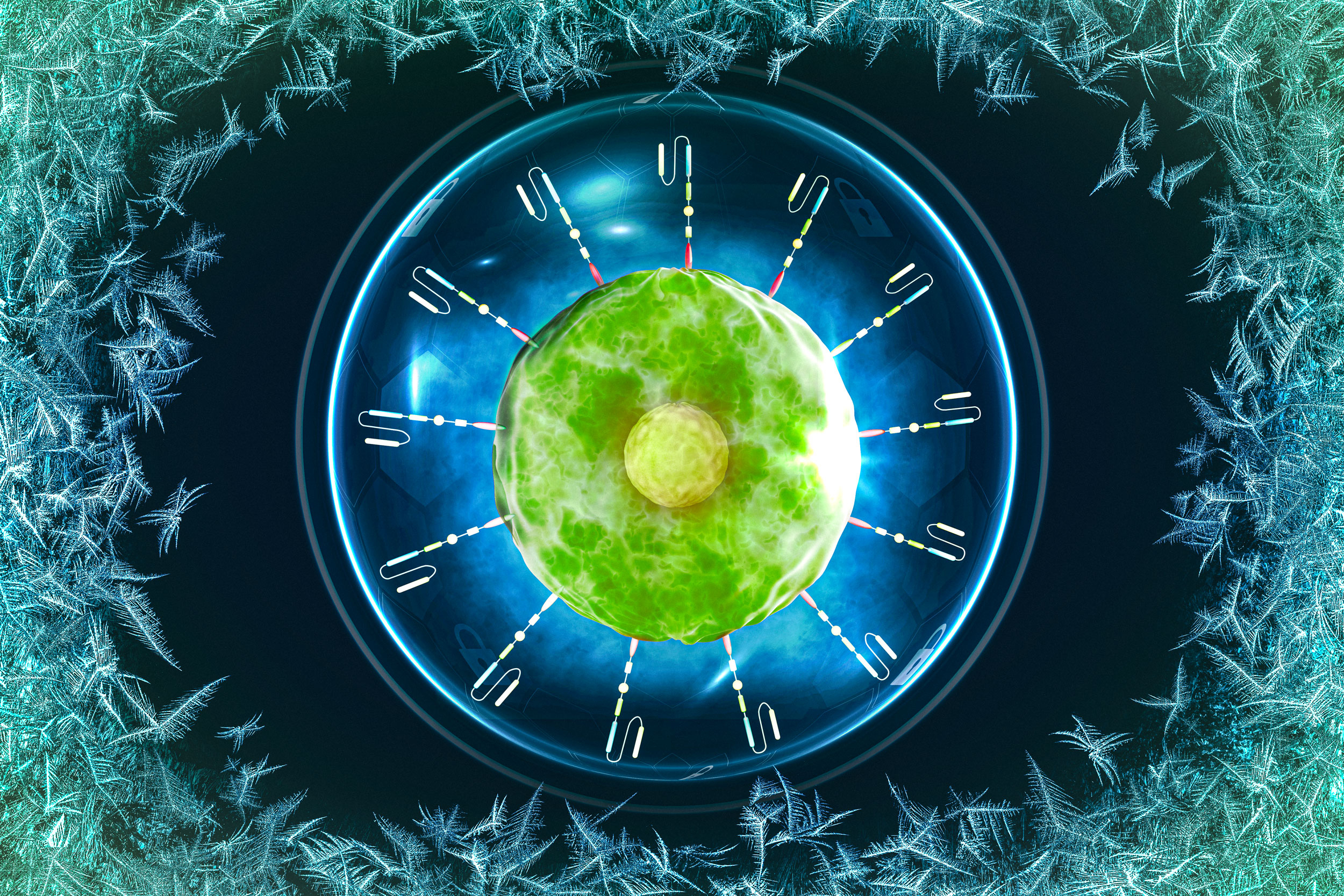 Cell-preservation technique could make CAR-T cell therapy more accessible