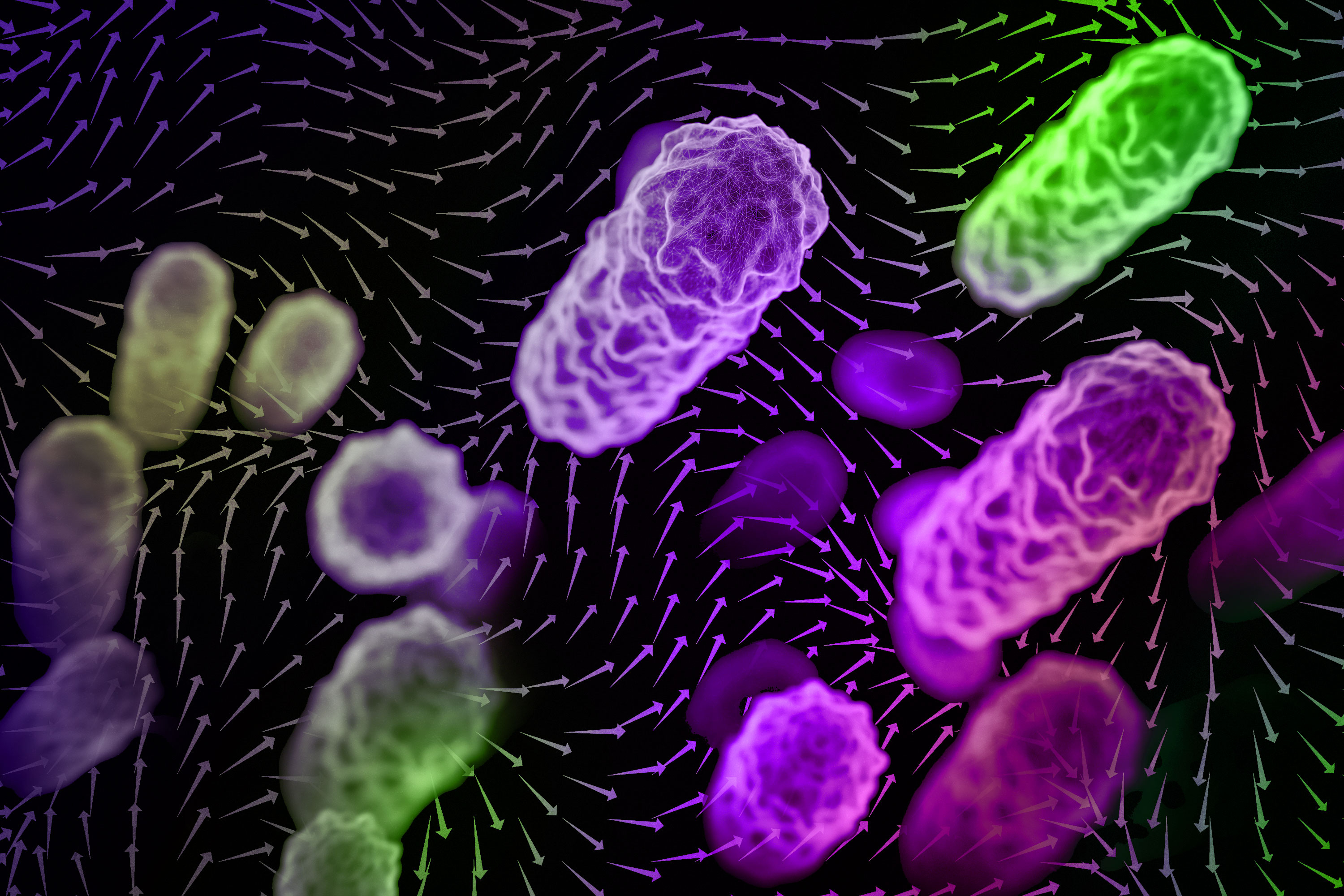 The importance of indoor airflow patterns in spreading airborne disease