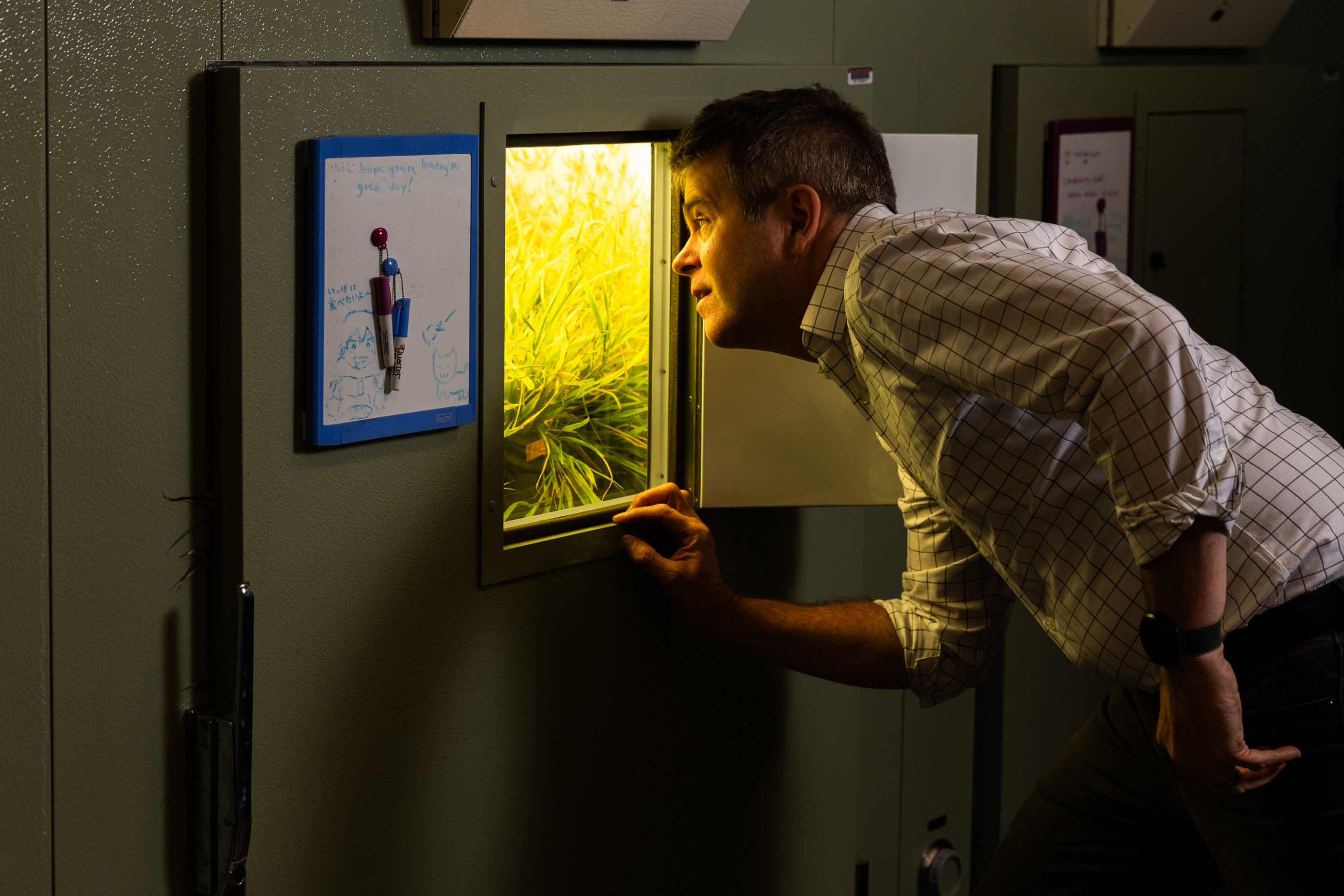 Exploring how plants thrive in a changing environment