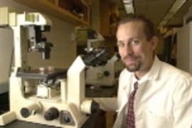 Scientists including Dr. David Tuveson (above) of Professor Tyler Jacks' lab in the Center for Cancer Research has found that a leukemia drug also is effective in the lab against a type of abdominal cancer called gastrointestinal stromal tumor.