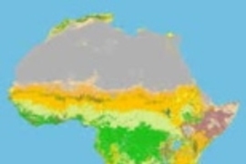 Satellite image of vegetation types in Africa