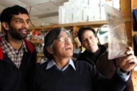 Graduate student Arvind Govindarajan (left), Professor Susumu Tonegawa (center) and postdoctoral fellow Ray Kelleher look at films in the lab.