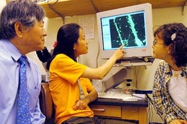 Susumu Tonegawa, Nobel laureate and director of the Picower Center for Learning and Memory at MIT, surveys neurons on the monitor of research affiliates Mansuo Hayashi, center, and Hae-Yoon Jung, right.