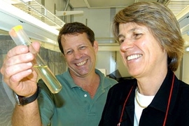 Marine biologists Ed DeLong and Penny Chisholm, newly named Moore Foundation Investigators in Marine Science, check out an ocean water sample.