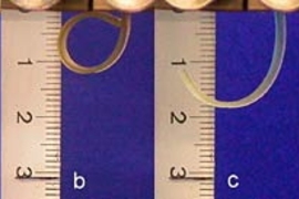 A sample of "smart" plastic (a) is elongated and irradiated on the right-hand side with ultraviolet light, forming a temporary shape (b). Photos (c) and (d) show the plastic recovering its original shape after exposure to UV light of a different wavelength. Scale is in centimeters.