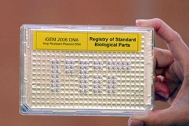 This plate containing pieces of DNA is part of the Registry of Standard Biological Parts developed at MIT for work in synthetic biology.