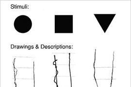 Drawings of visual objects by a stroke victim known as BL. When a stimulus appears just below BL's blind area, the shape elongates upwards and into the blind area. He perceived circles as cigar shaped, squares as rectangles, and triangles as pencil shaped.