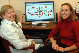 Leona Samson, left, and Dr. Rebecca Fry have found that prenatal exposure to arsenic leads to alarming changes in the genetics of newborn babies. Samson is the director of MIT's Center for Environmental Health Sciences (CEHS) and the American Cancer Society Professor in the Departments of Biological Engineering and Biology. Fry is assistant scientific director of CEHS.