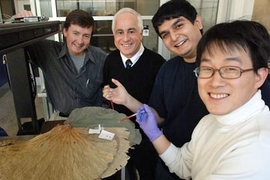 A group of MIT researchers, gathered here around naturally water-repelling lotus leaves, has developed a class of material structures that repel oil and hydrocarbons. From left are Gareth McKinley, Professor of Teaching Innovation in the Department of Mechanical Engineering; Robert Cohen, St. Laurent Professor of Chemical Engineering; Anish Tuteja, postdoc in chemical engineering; and Wonjae Choi,...