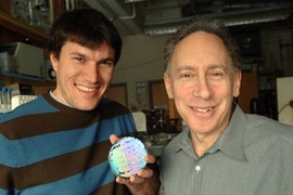 Graduate student Christopher Bettinger and Robert Langer, Institute Professor and professor of chemical engineering and bioengineering, have developed a way to make capillaries grow on a nano-patterned surface.