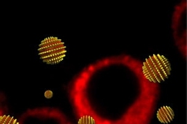 MIT researchers have created 'striped' nanoparticles capable of entering a cell without rupturing it. In the background of thisÂ cartoon are cells that have taken up nanoparticles carrying fluorescent imaging agents