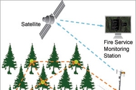 The sensor system produces enough electricity to allow the trees' temperature and humidity sensors to regularly and wirelessly transmit signals. Each signal hops from one sensor to another, until it reaches an existing weather station that beams the data by satellite to a forestry command center.