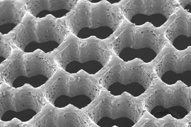 Scanning electron micrograph of an accordion-like honeycomb scaffold for cardiac tissue engineering. Original magnification =100 X