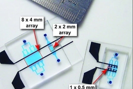 MIT researchers use this microchip to trap and fuse pairs of cells.