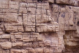 Evidence of early sponges was found in these sediments in Oman, a Marinoan age (about 635 million yearÂ old) rock unit of calcium carbonate deposited on rocks of glacial origin. The oldest sponge steroids detected in sedimentary rocks underlie this cap carbonate, and so pre-date the end of the global Marinoan glaciations.