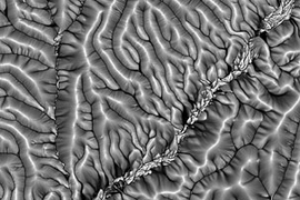 Overhead view of Gabilan Mesa, California, showing the logarithm of drainage area, calculated by routing flow computationally over an elevation map from the National Center for Airborne Laser Mapping (NCALM). Light shades are ridgelines, darker shades are valleys. Scene is approximately 3.5 km wide.