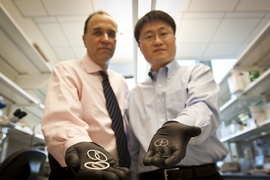 Michael Cima, left, and Heejin Lee SM ’04, PhD ’09 display the drug-delivery devices they developed to help treat interstitial cystitis. Cima holds the device built for humans; Lee's is sized for a rabbit.