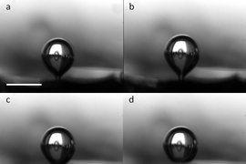 Time-lapse images of vapor bubble departure on the microstructured surfaces (a-d).