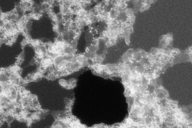 A high-resolution scanning transmission electron microscope image taken at Oak Ridge National Laboratory showing a large hole in the graphene (black region in the center). The image is 32 nm by 32 nm, hence the hole is about 10 nm in diameter. The white on the surface of the graphene is contamination, which is a recurring problem for anyone imaging graphene using this technique.