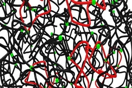 In this simulation of a polymer network, the red segments represent polymers that have looped onto themselves.
