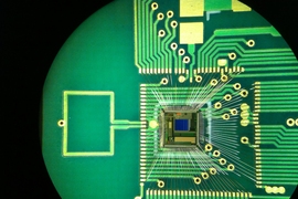 A close-up of the new chip, equipped with a radio transmitter, which is powered by a natural battery found deep in the mammalian ear.