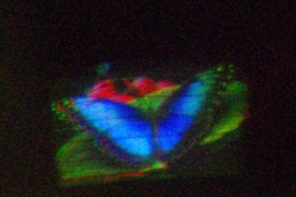 A hologram of a butterfly, displayed on the MIT researchers' new color monitor.