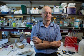Leonard Guarente is the Novartis Professor of Biology at MIT