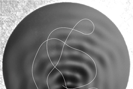 When the waves are confined to a circular corral, they reflect back on themselves, producing complex patterns (grey ripples) that steer the droplet in an apparently random trajectory (white line). But in fact, the droplet’s motion follows statistical patterns determined by the wavelength of the waves.