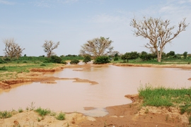 This large pool of water near Banizoumbou, Niger, formed during the monsoon season and became a breeding site for mosquitoes.  
