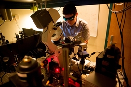 Giraldo examines a nanobionic plant.