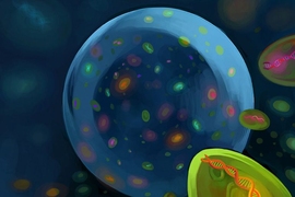 MIT scientists discovered an amazing amount of diversity among a population of marine microbes living in a few drops of water. Each subpopulation of the marine microbe Prochlorococcus is characterized by a shared genomic "backbone." The figurative backbones are depicted in this artist's rendering.