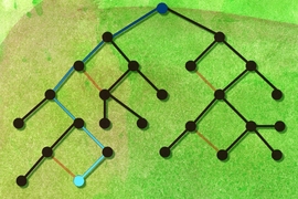 Calculating the mutual information between two nodes in a graph is like injecting blue dye into one of them and measuring the concentration of blue at the other. Crucial to the new algorithm are the elimination of loops in the graph (orange) and a technique that prevents intermediary nodes (black) from distorting the long-range calculation of mutual information (blue).