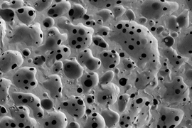 Pictured is a scanning electron micrograph of a porous, nanostructured poly(lactic-co-glycolic acid) (PLGA) membrane. The membrane is coated with a polyelectrolyte (PEM) multilayer coating that releases growth factors to promote bone repair.