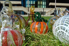 Glass pumpkins sit on the grass in front of MIT's Student Center