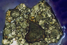 Magnified image of the section of the Semarkona meteorite used in this study. Chondrules are millimeter sized, light-colored objects. 