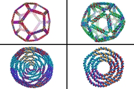 Top row: 3-D structural predictions generated using CanDo by Stavros Gaitanaros, a researcher in MIT's Laboratory for Computational Biology and Biophysics (LCBB), based on sequence designs provided by Fei Zhang of the Hao Yan Lab at Arizona State University. Bottom row: designs by Keyao Pan (LCBB)/Nature Communcations