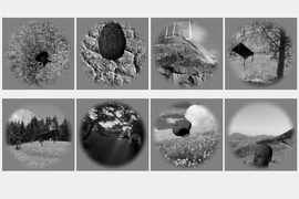 A team of MIT neuroscientists has found that some computer programs can identify the objects in these images just as well as the primate brain.