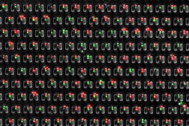 MIT researchers have designed a microfluidic device that allows them to precisely trap pairs of cells (one red, one green) and observe how they interact over time.
