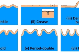 Schematics of growth-induced surface instabilities: (i) wrinkle, (ii) crease, (iii) delaminated-buckle, (iv) fold, (v) period-double and (vi) ridge.