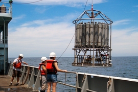 Researchers in the eastern tropical North Pacific used the sampling device shown here to gather water samples from various depths, at three different sampling locations.