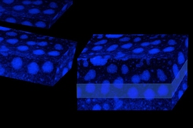 A scanning transmission electron micrograph (STEM) of the polymer material shows its division into crystalline regions (light areas of orderly dots) and the amorphous, disordered matrix, which is seen as the dark background. The original 2-D STEM views were rendered into 3-D form to create this visualization.