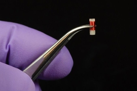 Once implanted in cancerous tissue, this MIT-developed sensor wirelessly sends data about biomarkers to an external “reader” device, allowing doctors to better monitor a patient’s progress and adjust or switch therapies.