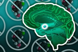 This illustration shows a brain with the amygdala highlighted in the center. In the background are models of the serotonin molecule.
