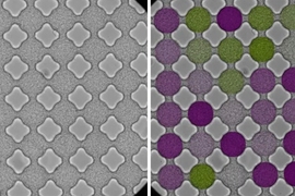 As bacteria stream through a microfluidic lattice, they synchronize and swim in patterns similar to those of electrons flowing through a magnetic material. This image shows a microfluidic 6x6 lattice. The left-hand side shows the original data as seen under the microscope. The overlaid color coding on the right-hand side shows the relative strength of clockwise (purple) or anti-clockwise (green) ...